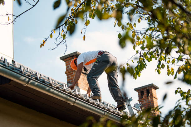 Best Storm Damage Roof Repair  in Ridgely, TN
