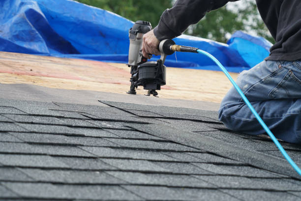 Best Roof Maintenance Services  in Ridgely, TN