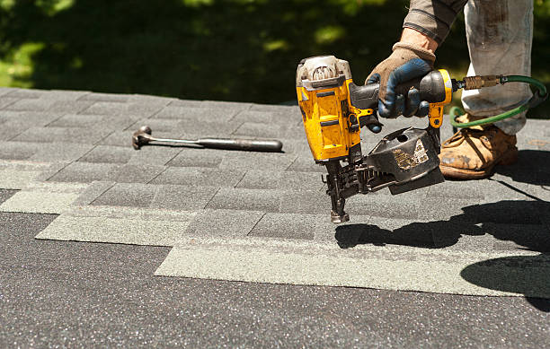Best Roof Maintenance Services  in Ridgely, TN